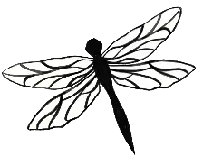 Dragonfly Springs Design